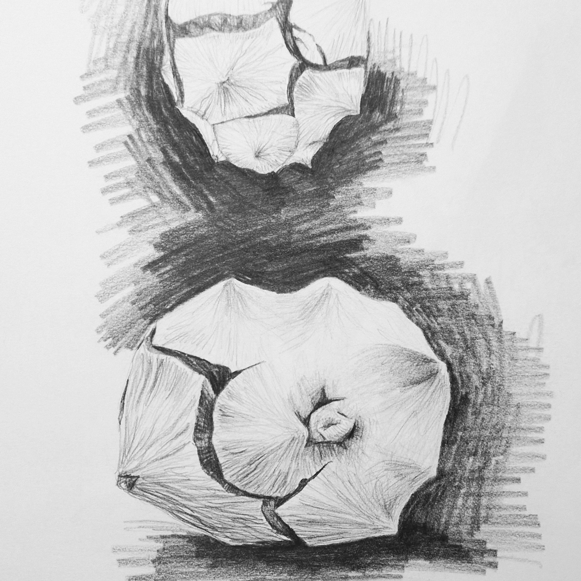 Berit Stange Portrait